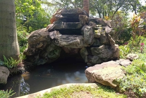 Nairobi : visite de la plantation de café Fairview avec prise en charge