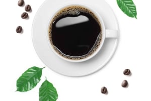 Nairobi: Fairview Coffee Estate Tour with Tasting