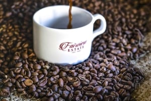 Nairobi: Tour por la finca cafetera Fairview con degustación