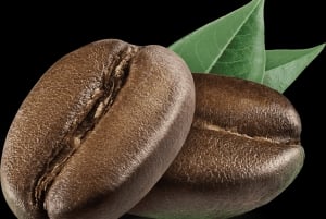 Nairobi: Tour por la finca cafetera Fairview con degustación