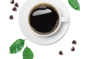 Nairobi: Tour por la finca cafetera Fairview con degustación