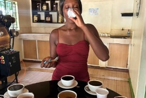Nairobi: Fairview Coffee Estate Tour with Transfers