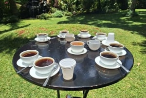 Nairobi: Fairview Coffee Estate Tour with Transfers