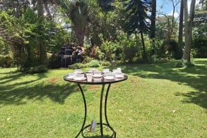 Nairobi: Fairview Coffee Estate Tour with Transfers