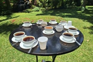 Nairobi: Fairview Coffee Estate Tour with Transfers