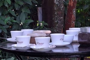 Nairobi: Fairview Coffee Estate Tour with Transfers