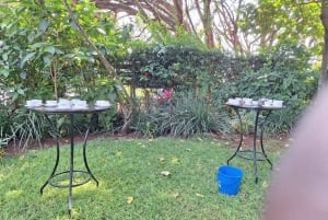 Nairobi: Fairview Coffee Estate Tour with Transfers