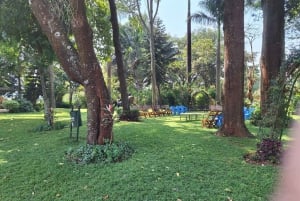 Nairobi: Fairview Coffee Estate Tour with Transfers