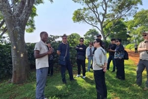 Nairobi: Fairview Coffee Estate Tour with Transfers