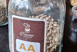 Nairobi: Fairview Coffee Estate Tour with Transfers