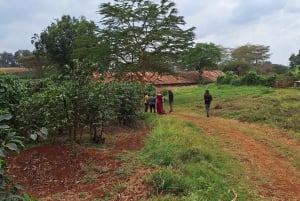 Nairobi: Fairview Coffee Estate Tour with Transfers