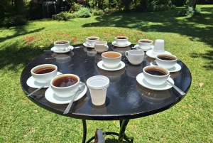 ナイロビ：送迎付きフェアビュー コーヒー エステート ツアー