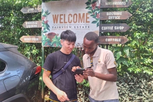 ナイロビ：送迎付きフェアビュー コーヒー エステート ツアー