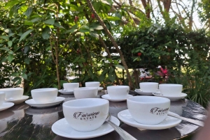 ナイロビ：送迎付きフェアビュー コーヒー エステート ツアー