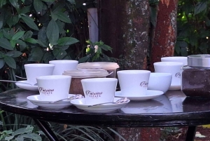 ナイロビ：送迎付きフェアビュー コーヒー エステート ツアー