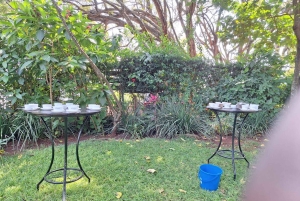 ナイロビ：送迎付きフェアビュー コーヒー エステート ツアー