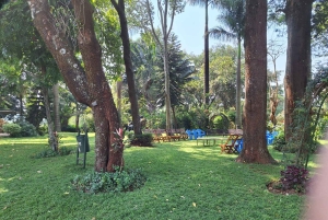 ナイロビ：送迎付きフェアビュー コーヒー エステート ツアー