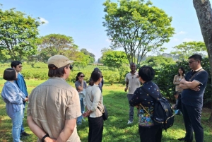 ナイロビ：送迎付きフェアビュー コーヒー エステート ツアー