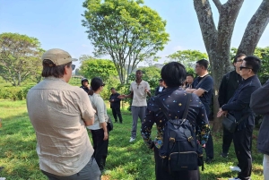 ナイロビ：送迎付きフェアビュー コーヒー エステート ツアー