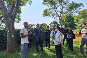 ナイロビ：送迎付きフェアビュー コーヒー エステート ツアー