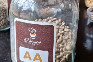 ナイロビ：送迎付きフェアビュー コーヒー エステート ツアー