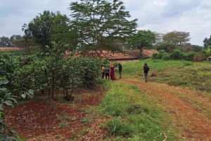 ナイロビ：送迎付きフェアビュー コーヒー エステート ツアー