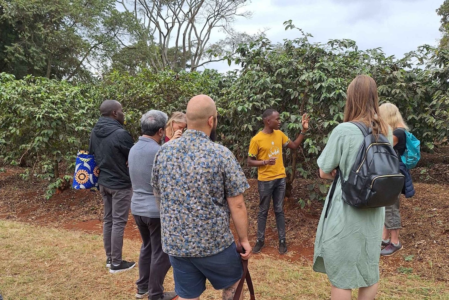 Nairobi: Dagsutflykt till Fairview Coffee Farm med upphämtning från hotell