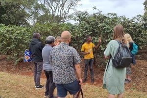 Nairobi: Dagsutflykt till Fairview Coffee Farm med upphämtning från hotell