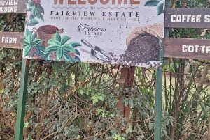 Nairobi: Dagsutflykt till Fairview Coffee Farm med upphämtning från hotell
