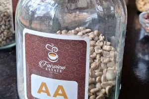 Nairobi: Dagsutflykt till Fairview Coffee Farm med upphämtning från hotell