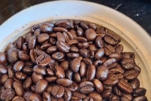 Nairobi: Dagsutflykt till Fairview Coffee Farm med upphämtning från hotell