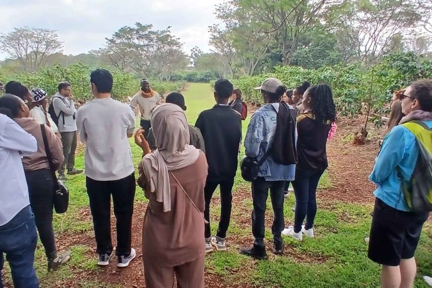 ナイロビ：フェアビューコーヒー農園ツアー（送迎付き）