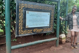 ナイロビ：フェアビューコーヒー農園ツアー（送迎付き）