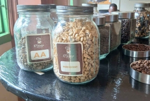 ナイロビ：フェアビューコーヒー農園ツアー（送迎付き）