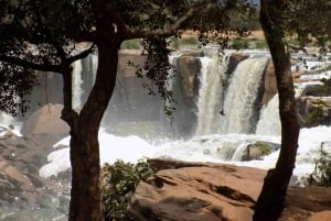 Nairobi : randonnée sportive aux chutes Fourteen Falls et au mont Kilimambogo