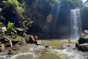 ナイロビ：ガトゥラグリーンパープルティーファーム日帰りツアー