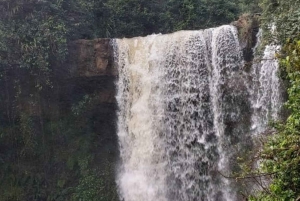 Nairobi: Dagstur til Gatura Greens Purple Tea Farm