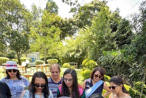 Nairobi: Dagstur til Gatura Greens Purple Tea Farm