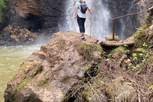 Nairobi: Dagstur til Gatura Greens Purple Tea Farm