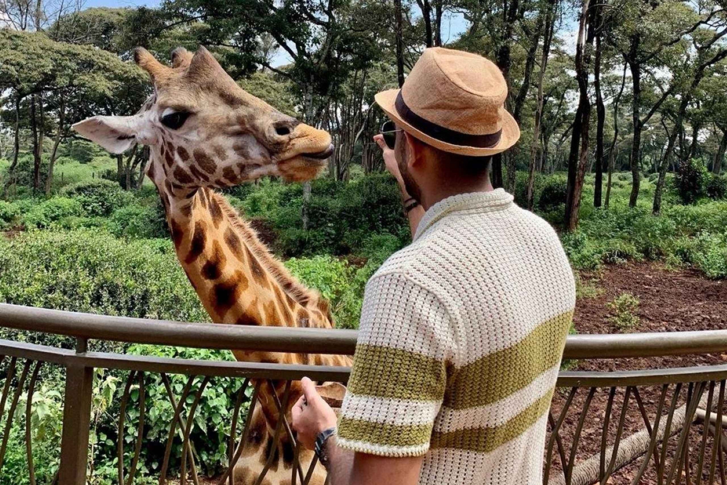 Nairobi Excursión de un día al Centro de las Jirafas