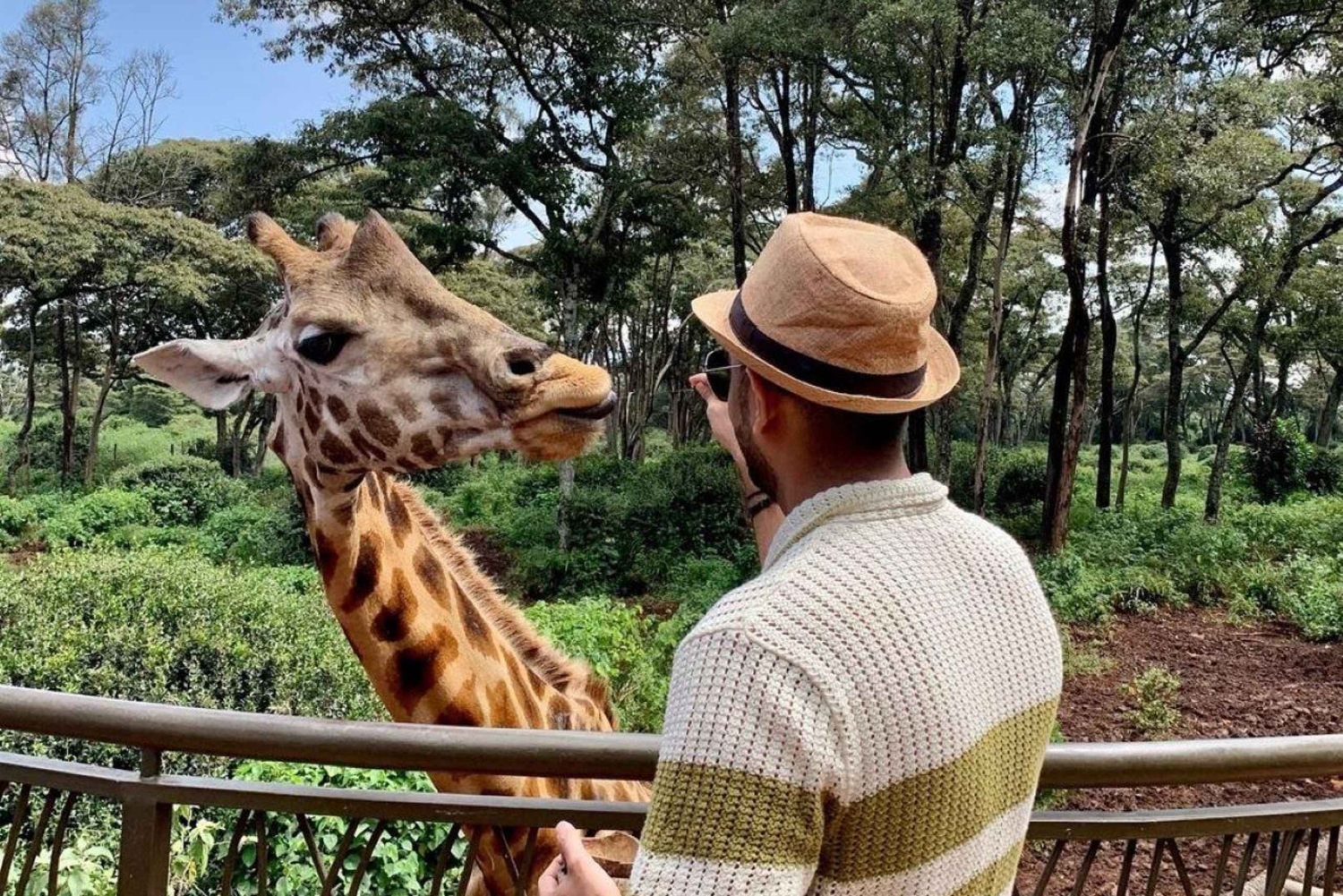 Nairobi: Giraffe Center Tagestour