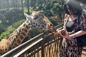 Nairobi Excursión de un día al Centro de las Jirafas