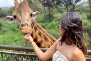 Nairobi Excursión de un día al Centro de las Jirafas