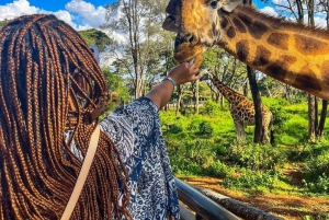 Nairobi Excursión de un día al Centro de las Jirafas
