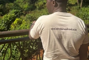 Nairobi Excursión de un día al Centro de las Jirafas