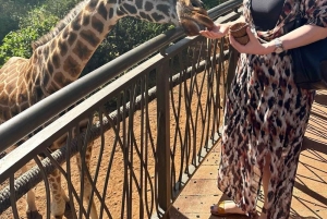 Nairobi: Giraffe Center Tagestour