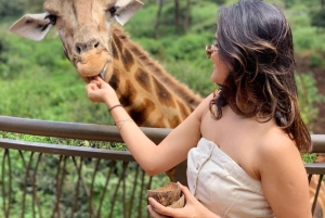 Nairobi: Giraffe Center Tagestour