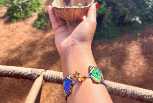 Nairobi: Giraffe Center Tagestour