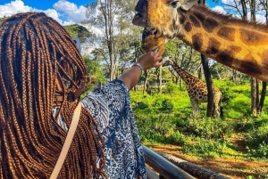 Nairobi: Giraffe Center Tagestour
