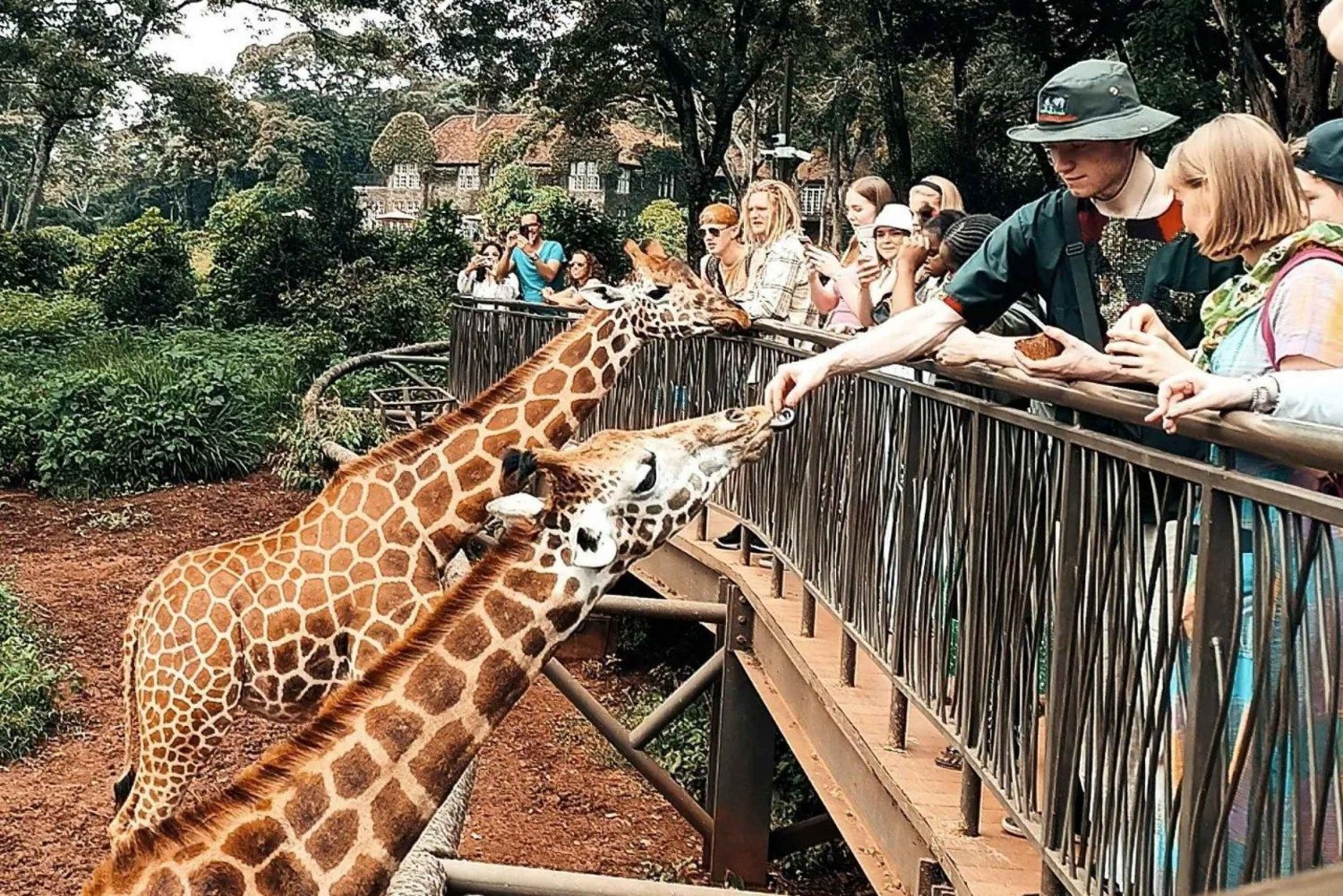 Nairobi: Kirahvikeskus, norsujen orpokoti ja helmikierros.